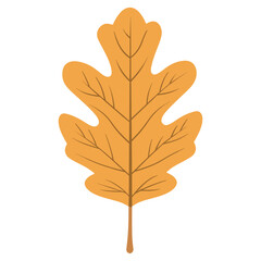 Obraz premium Autumn reniform leaf illustration fall oak vector