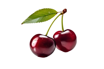 cherries isolated on transparent  background