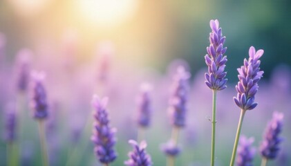 Naklejka premium Softly swaying lavender stems in a summer breeze, delicate, pastel, soothing