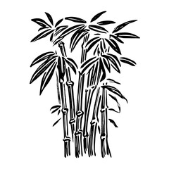 Obraz premium Bamboo tree art drawing illustration vector