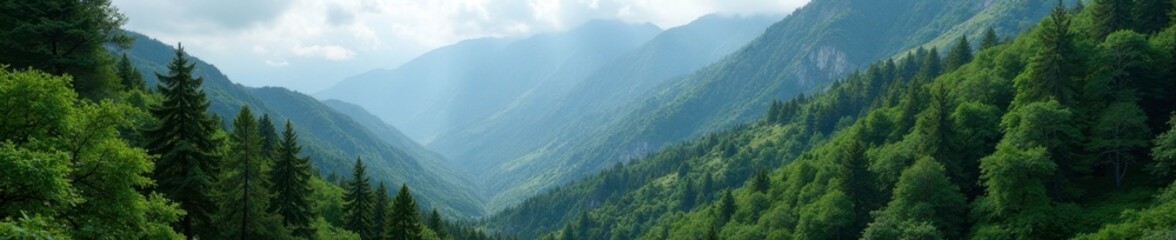 Obraz premium Towering trees engulf the mountain's upper slopes, nature reserve, dense vegetation