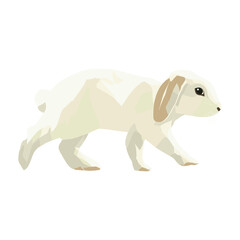 Obraz premium Rabbit art illustration minimalist vector