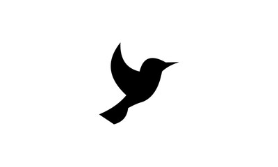 bird logo vector