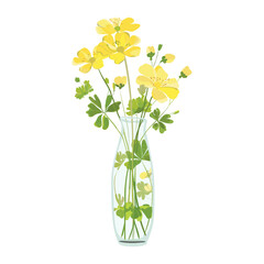 Buttercup bouquet illustration flowers spring vector