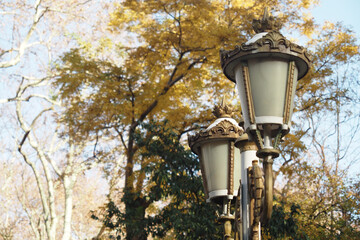 Historic street lamps contrast with autumn trees in a city park
