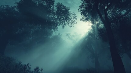 Obraz premium Ethereal Forest with Mist and Sunlight Breaking Through Trees