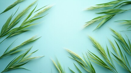 Obraz premium Green grass stems arranged on a light blue background