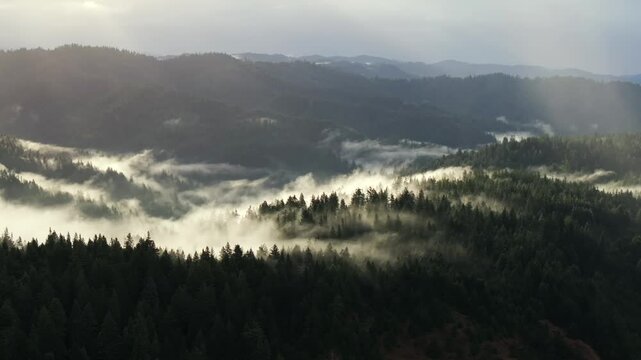 PNW Pacific Northwest Northern Whitehorn California Oregon Washington Redwood National State Park Forest aerial drone morning sun fog mist clouds Mendocino Lost Coast Trail USAL beach circle right