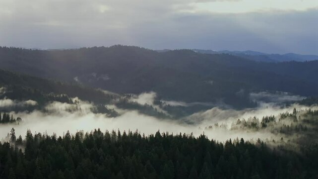 Whitehorn Northern California Oregon Washington Redwood National State Park Forest aerial drone PNW Pacific Northwest morning sun beam fog mist clouds Mendocino Lost Coast USAL beach parallax right