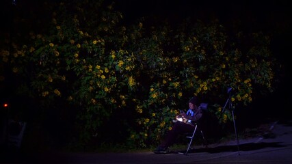 A person holding a lantern illuminates a vibrant bush of yellow flowers at night, creating a serene and mystical atmosphere. This image captures the natural beauty, tranquility and charm