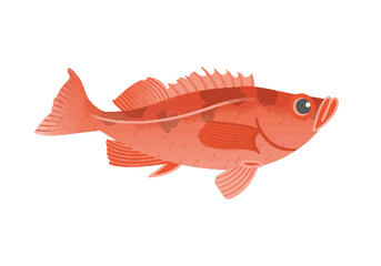 アラスカメヌケ