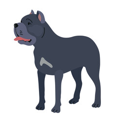 Cane corso icon clipart avatar logotype isolated illustration