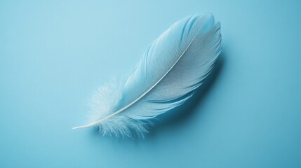 Single light blue feather on a blue background