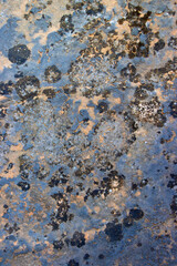 Stone Surface with Black and Blue Spots – Organic Texture