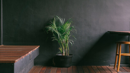 Zen Corner: Minimalist Palm Design
