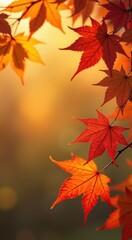 Obraz premium Leaves of a tree with red and yellow leaves in the background