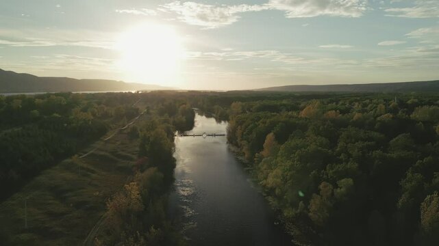 River flows through lush green forest at sunset