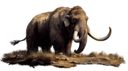 Majestic Woolly Mammoth: A digitally rendered image of a colossal woolly mammoth, its thick fur and impressive tusks showcased against a subtle ground texture.