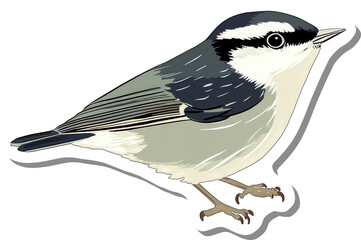Obraz premium A Detailed Illustration Of A Nuthatch Bird