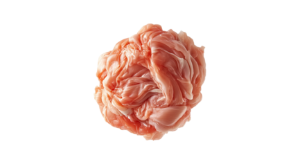 PNG, Steak. Meat Long, pieces of raw meat, isolated on a white background, created with Generative AI technology.