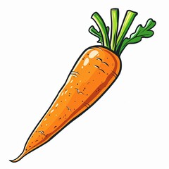 Fresh Orange Carrot Vegetable with Green Tops Healthy Eating Illustration