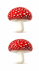 Obraz premium Red Mushroom Illustration