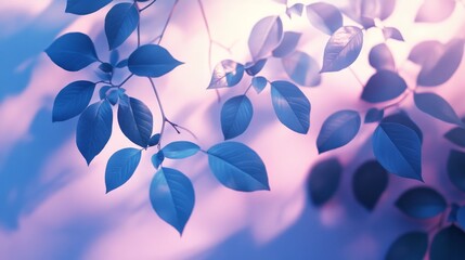 Blue Leaves Softly Illuminated Against a Pink Background