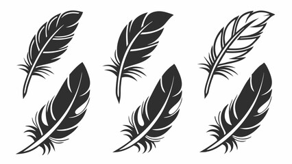set of feathers vector