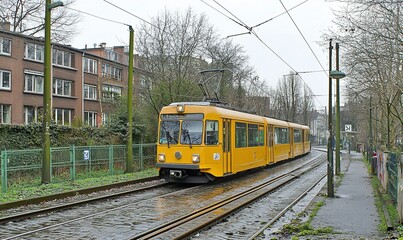 Naklejka premium Yellow tram on wet tracks in residential area with trees and buildings