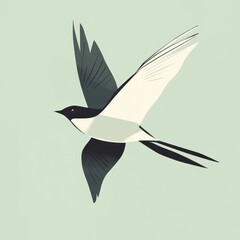 Obraz premium Elegant Black And White Bird In Flight