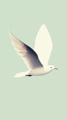 Obraz premium A graceful white seagull in flight against a pale green sky