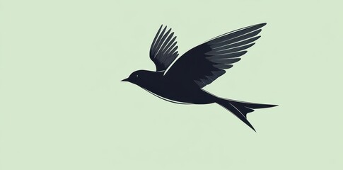 Obraz premium A Black Bird in Flight Soaring Gracefully