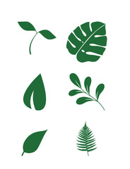 vector set of leaves