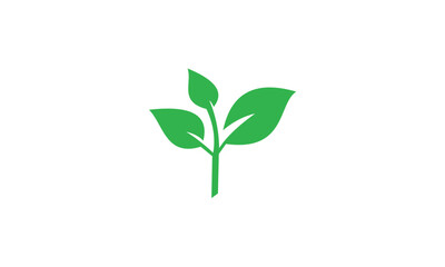 Green leaf logo