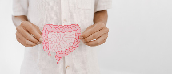 hands holding intestine shape, healthy bowel digestion, leaky gut, probiotic and prebiotic for gut...