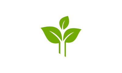 Green leaf logo