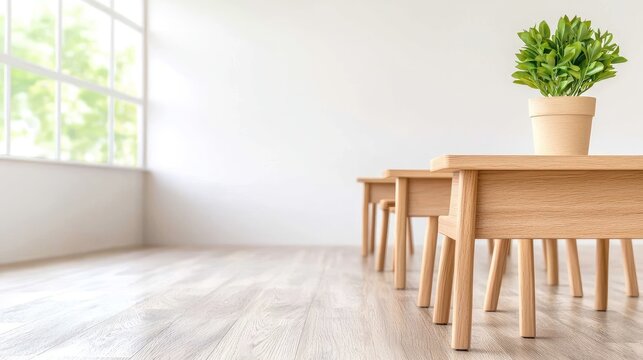 Empty wooden desks and chairs in a bright minimalist classroom with a green potted plant by the window.