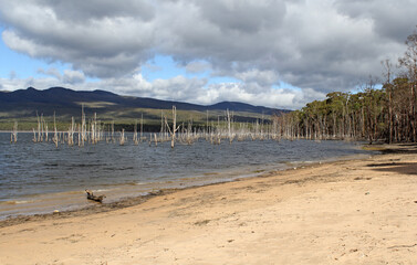 Water, sandy beach and dead trees at Lake Bellfield in Victoria, Australia