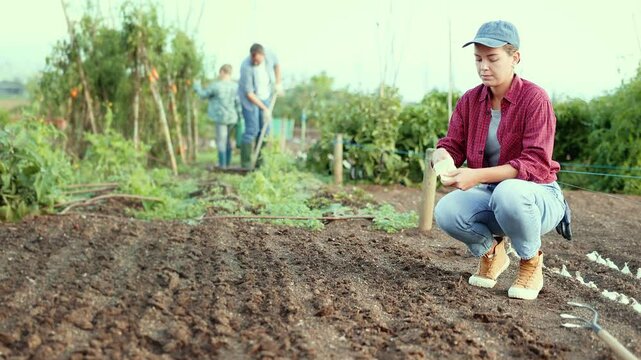 Woman farmer planting seeds in the garden on the farm on background of family. Planting seeds and fertilizing the land. Farmer grows organic natural food