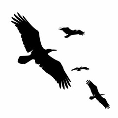 Three birds flying in the sky. The birds are black. The sky is white