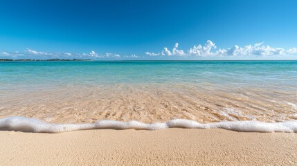 Fototapeta premium Tranquil Beach Scene with Gentle Waves and Clear Blue Sky Over Ocean