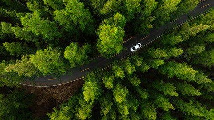 Aerial view of dark green forest road and white electric car Natural landscape and elevated roads Adventure travel and transportation and environmental protection concept	
