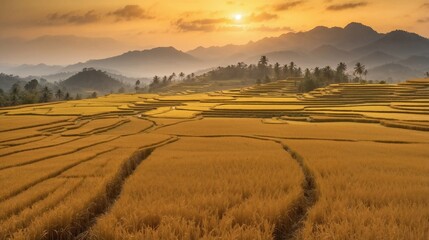 Obraz premium A golden rice field shimmering during harvest season, its stalks swaying gently in the breeze beneath the warm sun.