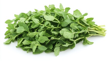 Obraz premium Fresh Mint Leaves Isolated on White Background