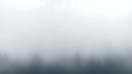 Fototapeta premium fog in the forest