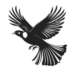 Obraz premium Black Bird in Flight Graceful Wings Soaring