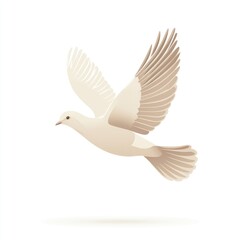 Obraz premium A Beige Dove Soaring Gracefully Through The Air