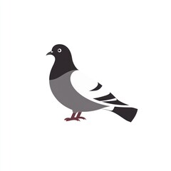 Obraz premium A Simple Illustration Of A Gray And Black Pigeon
