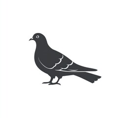 Obraz premium A Simple Silhouette Of A Single Pigeon Bird