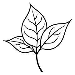 silhouette of a leaf